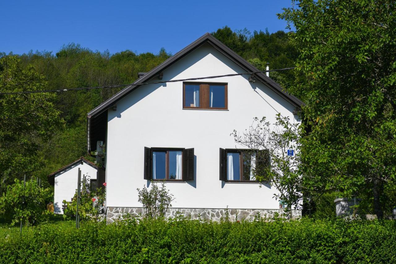 Wildernest Holiday Home Rakovica Kültér fotó